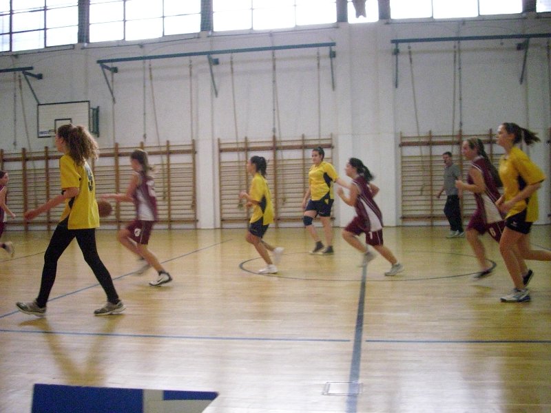 DSCI2088.JPG