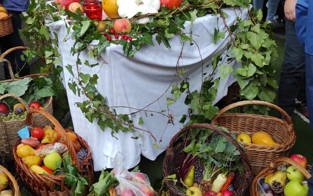 A Teremtésvédelem Hete