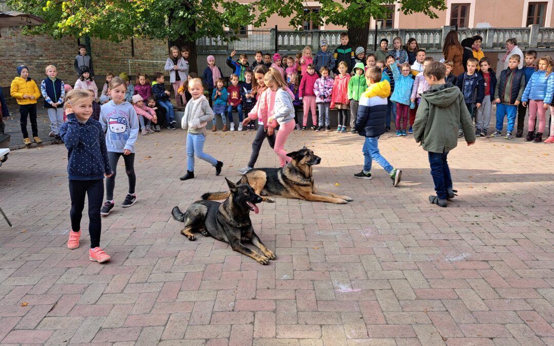 Állatok világnapja iskolánkban