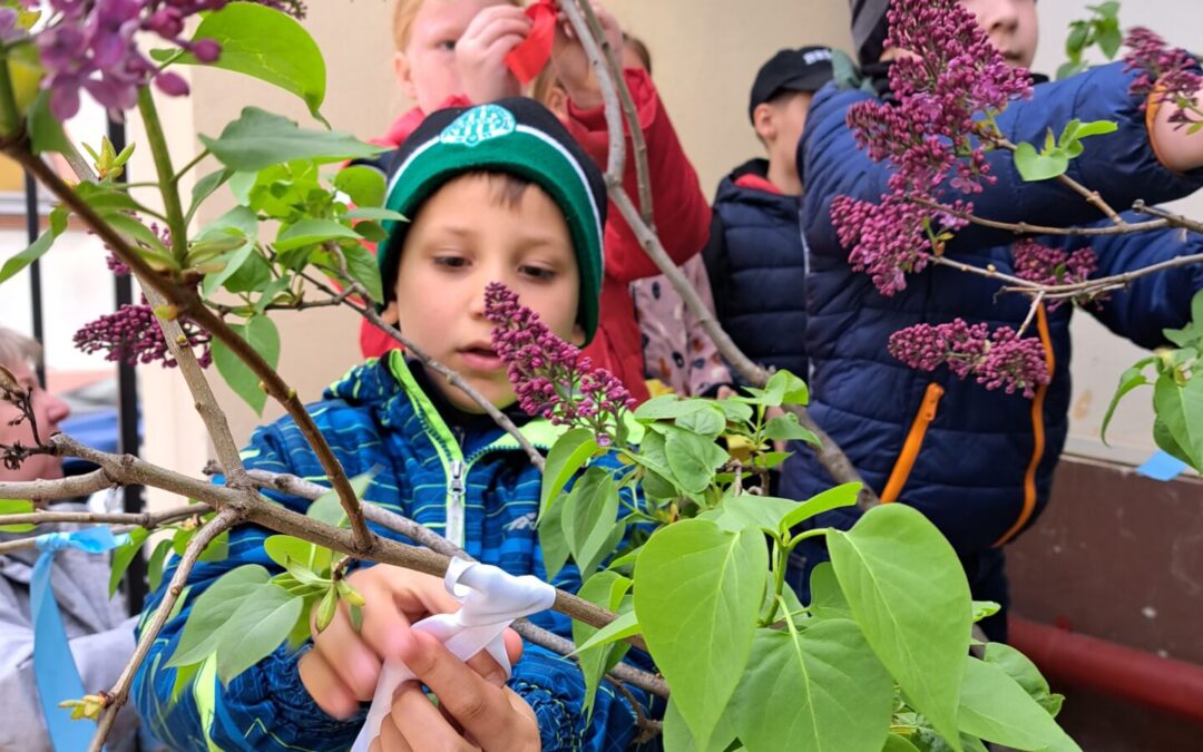 Májusfa díszítés a kisépületben