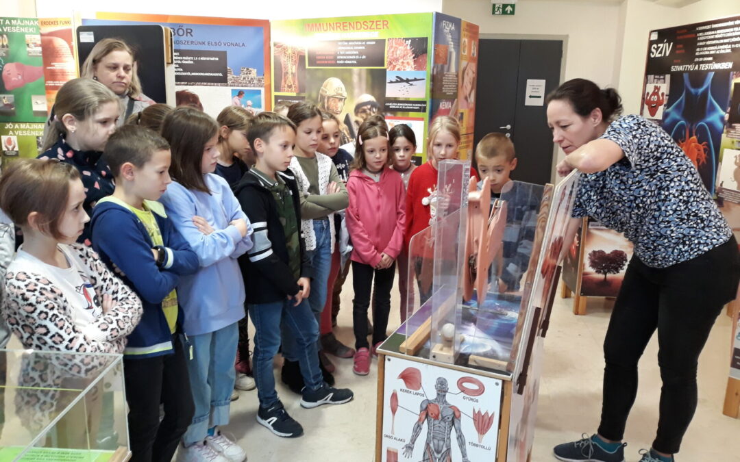 Az emberi szervezet működése valóságos csoda?