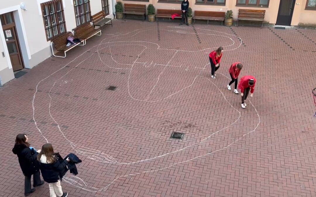 A 8/b vérkeringése