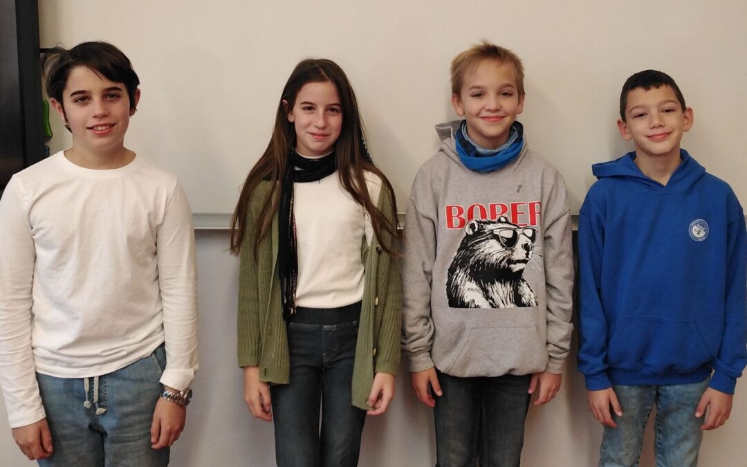 Bolyai Anyanyelvi Csapatverseny – vármegyei eredmények