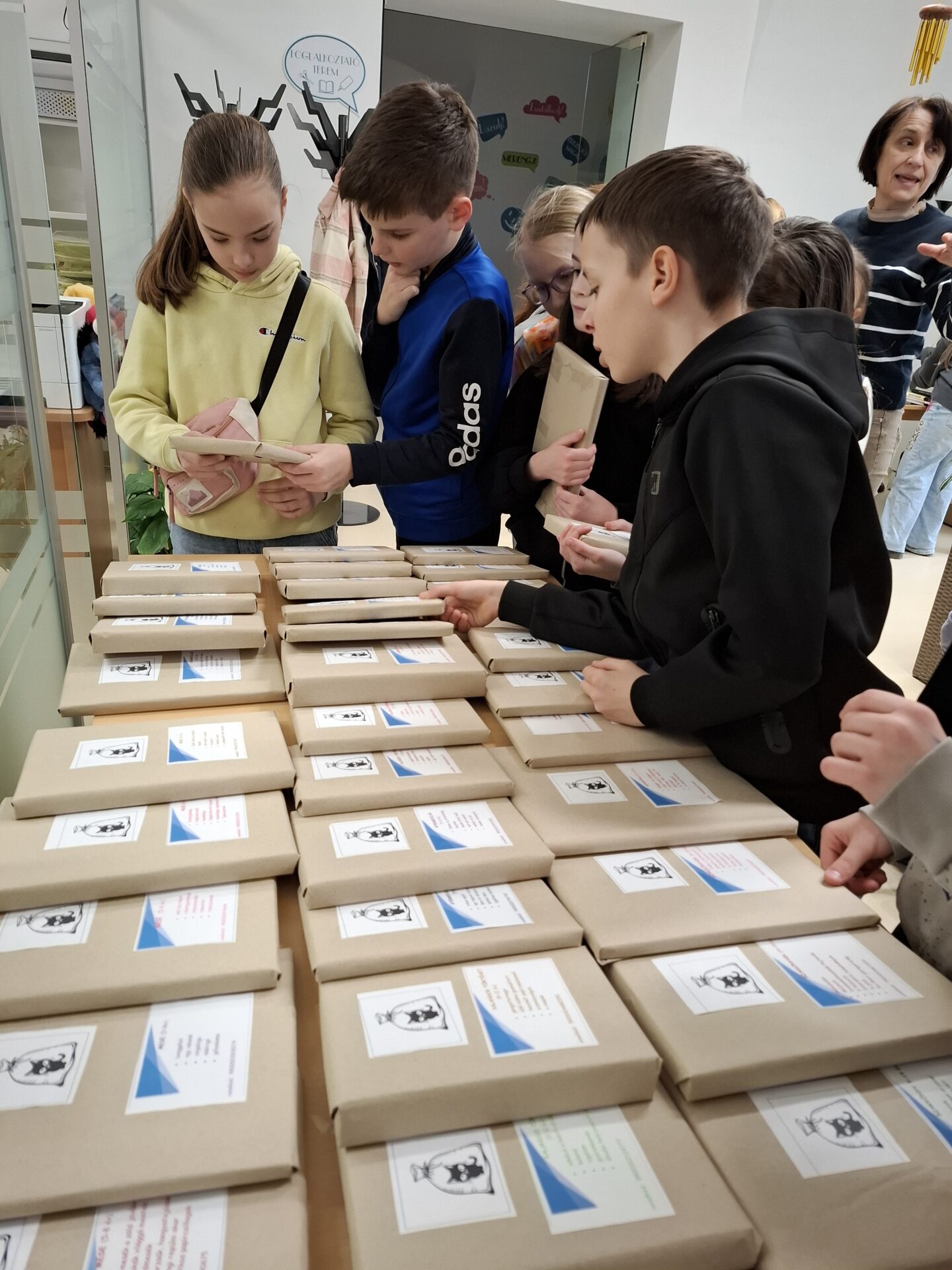 Hogy kerül a zsákbamacska a könyvtárba?