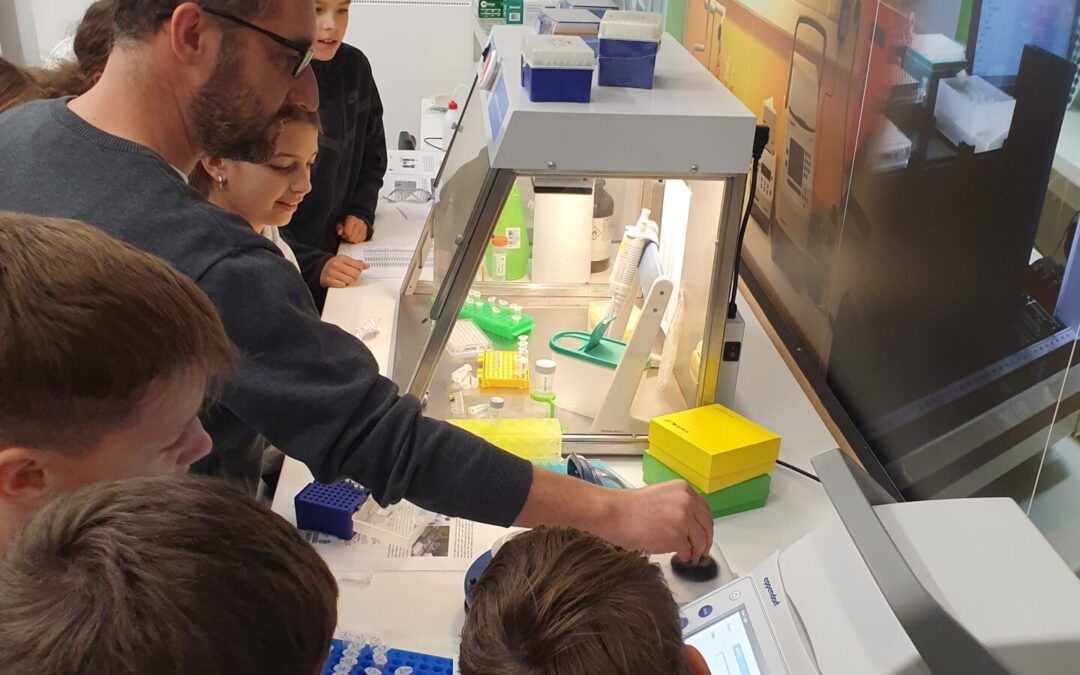 Újra a Laczkó Dezső Múzeumban