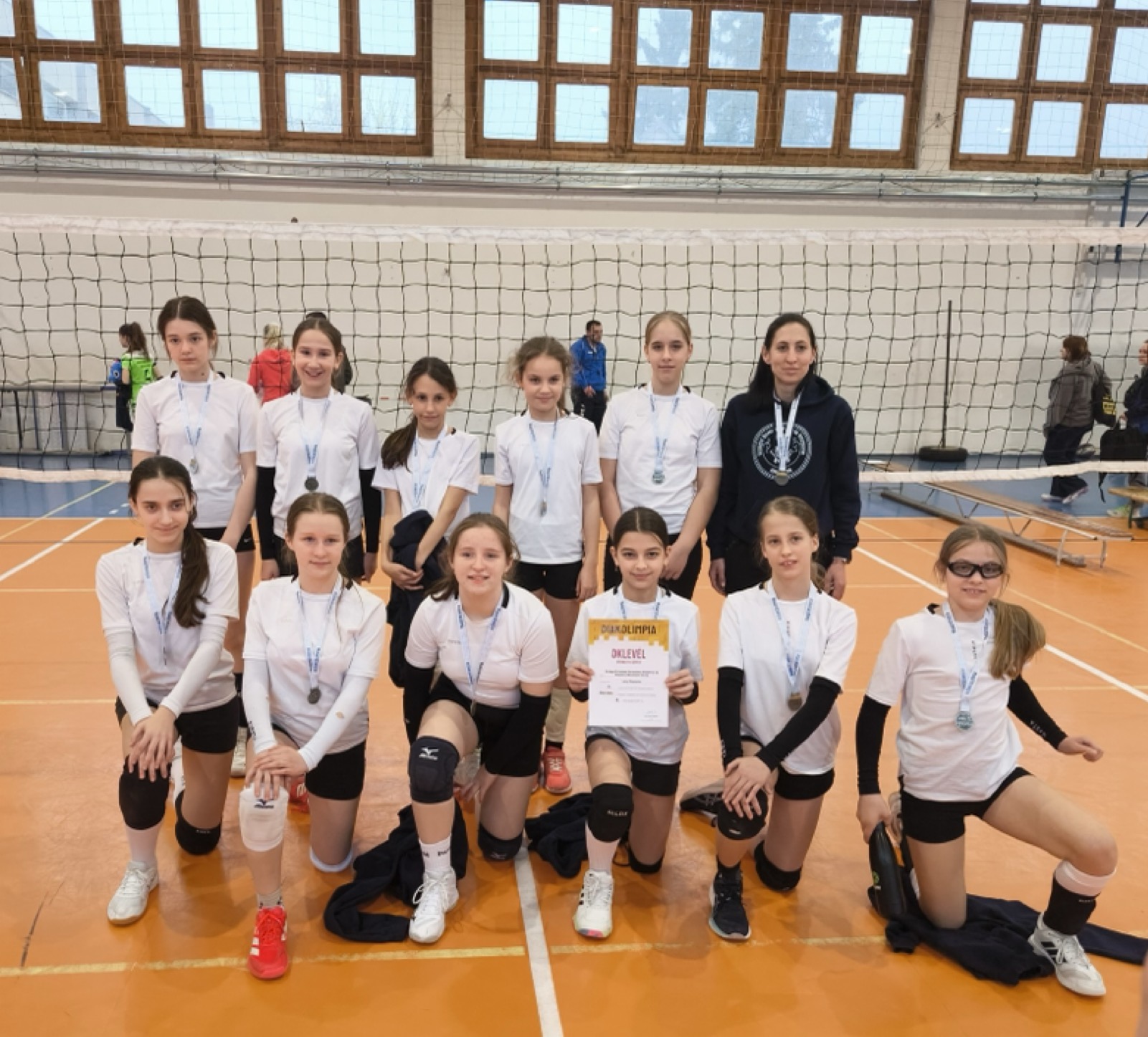 Vármegyei röplabda döntőben ezüstérmet nyert a Szilágyi iskola csapata